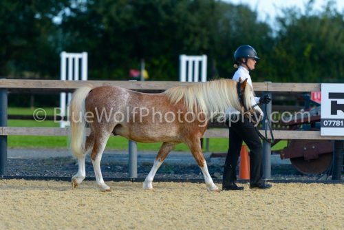 HOYS26-340