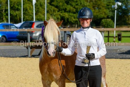 HOYS26-347