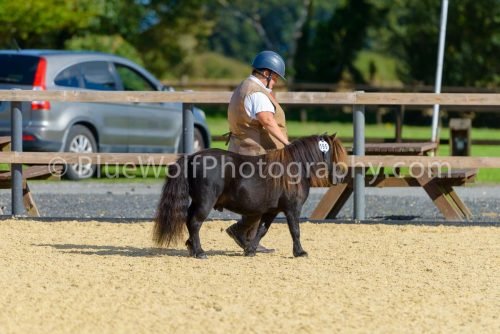 HOYS26-353