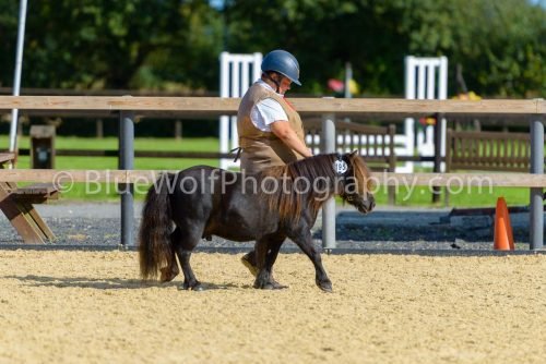 HOYS26-354