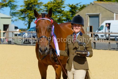 HOYS26-362