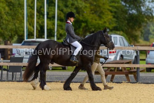 HOYS26-17