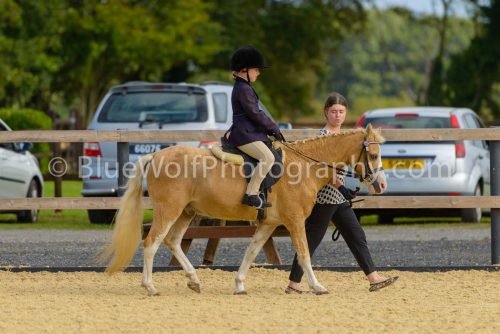 HOYS26-18