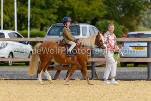 HOYS26-19