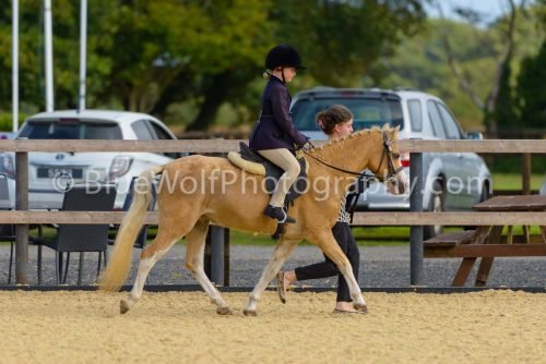 HOYS26-20