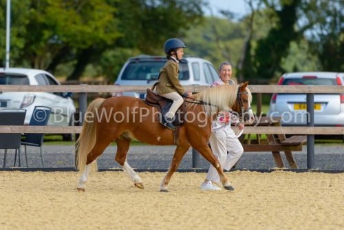 HOYS26-21