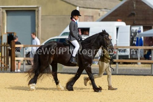 HOYS26-22