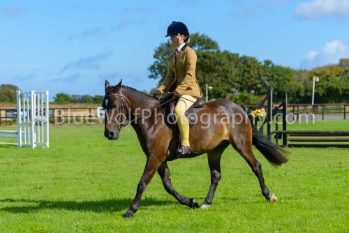 HOYS26-364