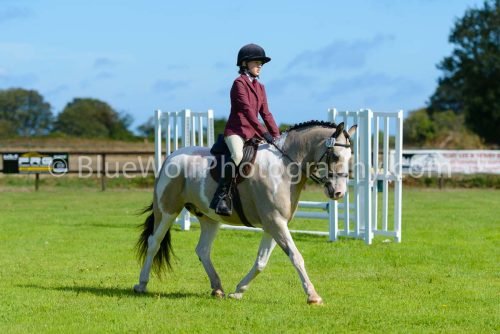 HOYS26-365