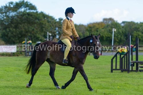 HOYS26-367