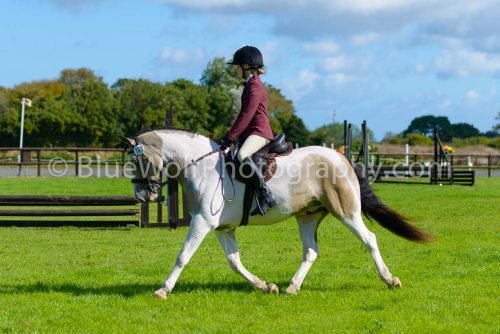 HOYS26-372