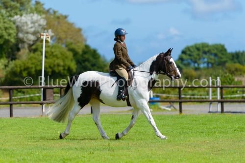 HOYS26-395