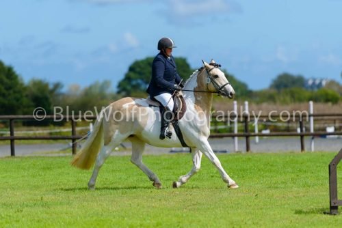 HOYS26-396