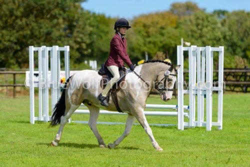 HOYS26-397