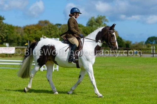 HOYS26-399