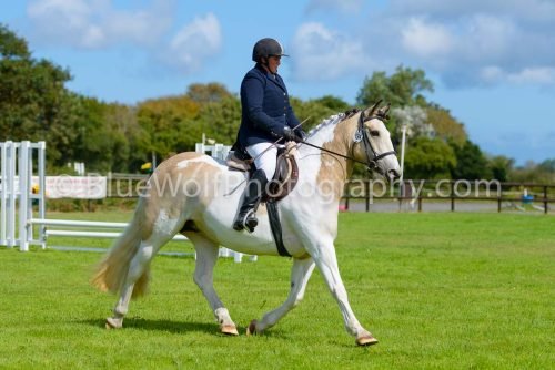 HOYS26-400