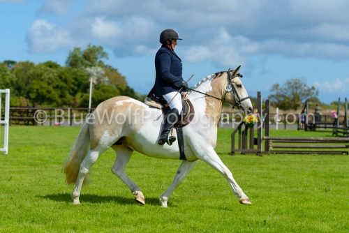 HOYS26-401