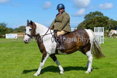 HOYS26-407