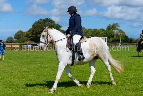 HOYS26-408