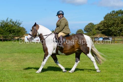 HOYS26-409
