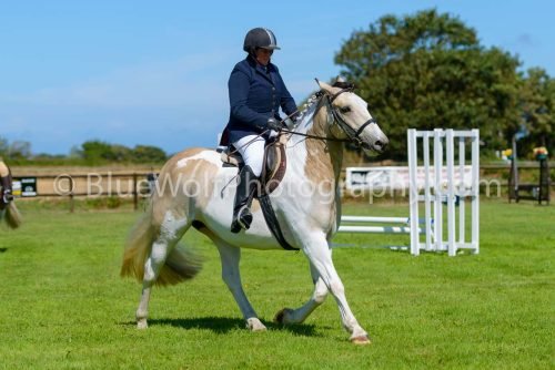 HOYS26-410