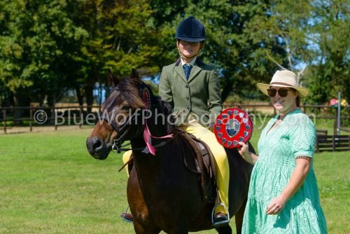 HOYS26-419