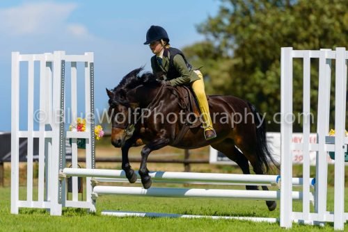 HOYS26-420