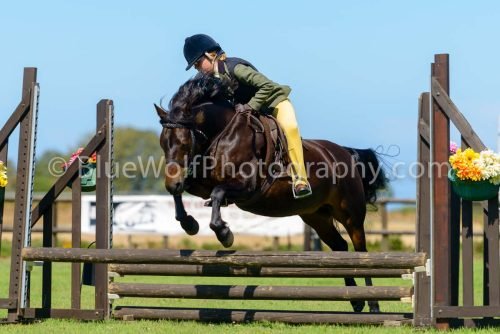 HOYS26-421