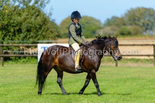 HOYS26-422