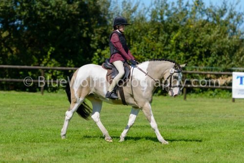 HOYS26-423