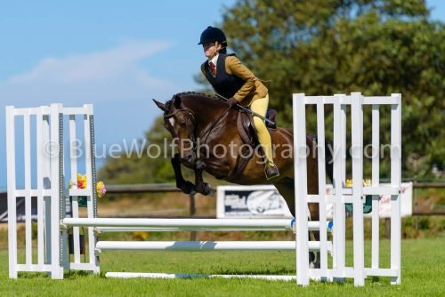 HOYS26-424