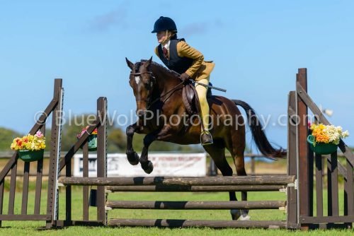 HOYS26-425