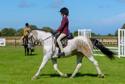 HOYS26-428