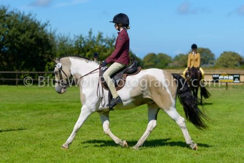 HOYS26-429