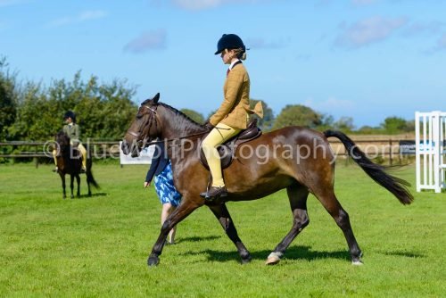 HOYS26-433