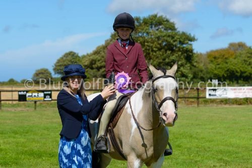 HOYS26-434