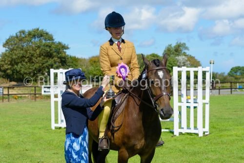 HOYS26-435