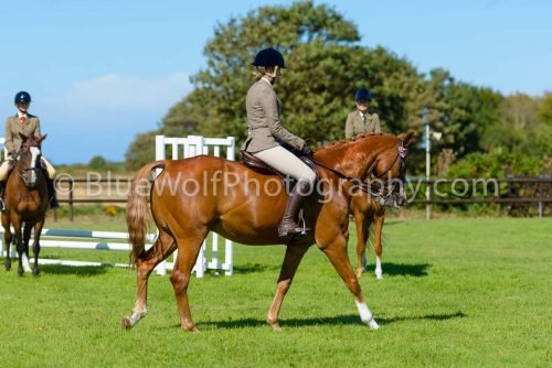 HOYS26-440