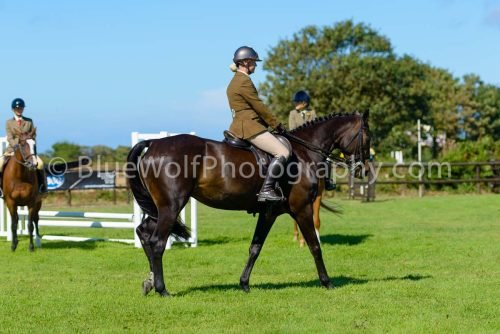 HOYS26-443