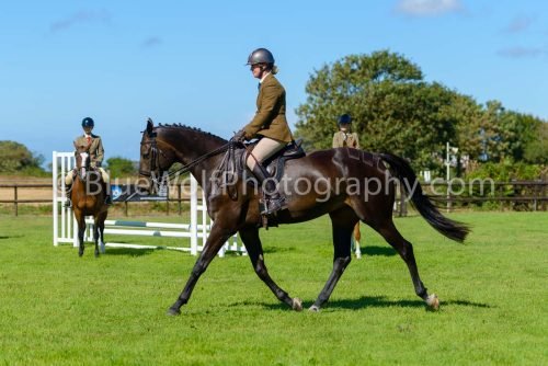 HOYS26-444