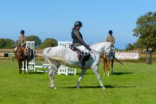 HOYS26-445
