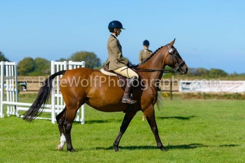 HOYS26-447