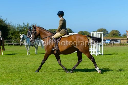 HOYS26-448