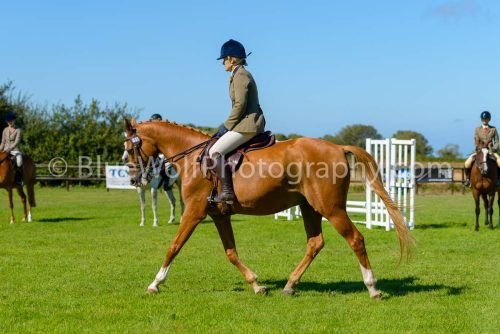 HOYS26-450