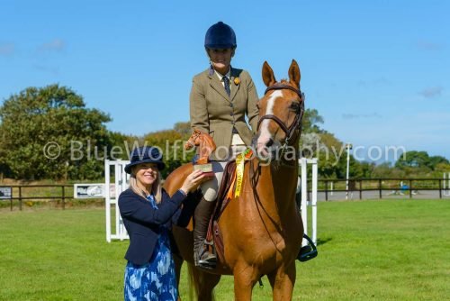 HOYS26-451