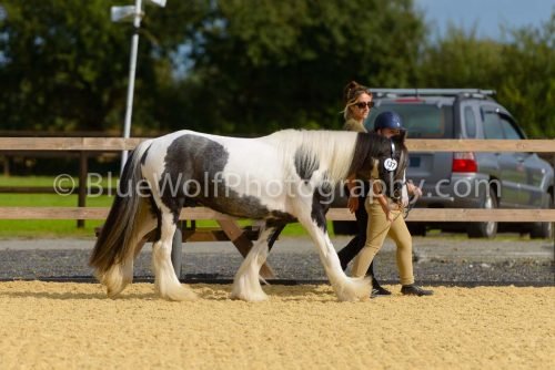 HOYS26-25
