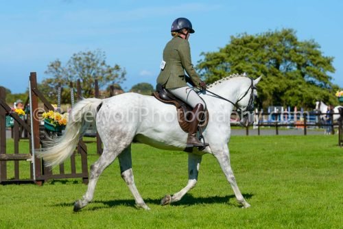 HOYS26-452