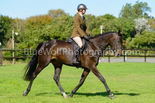 HOYS26-453