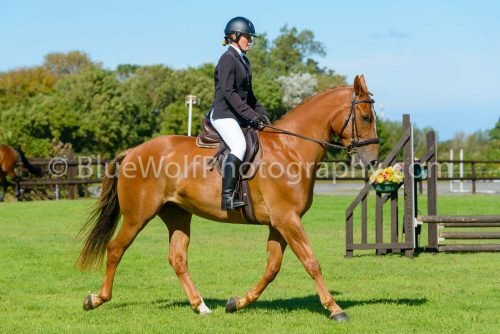 HOYS26-454