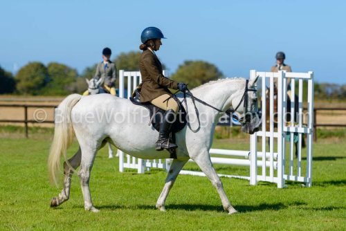 HOYS26-457